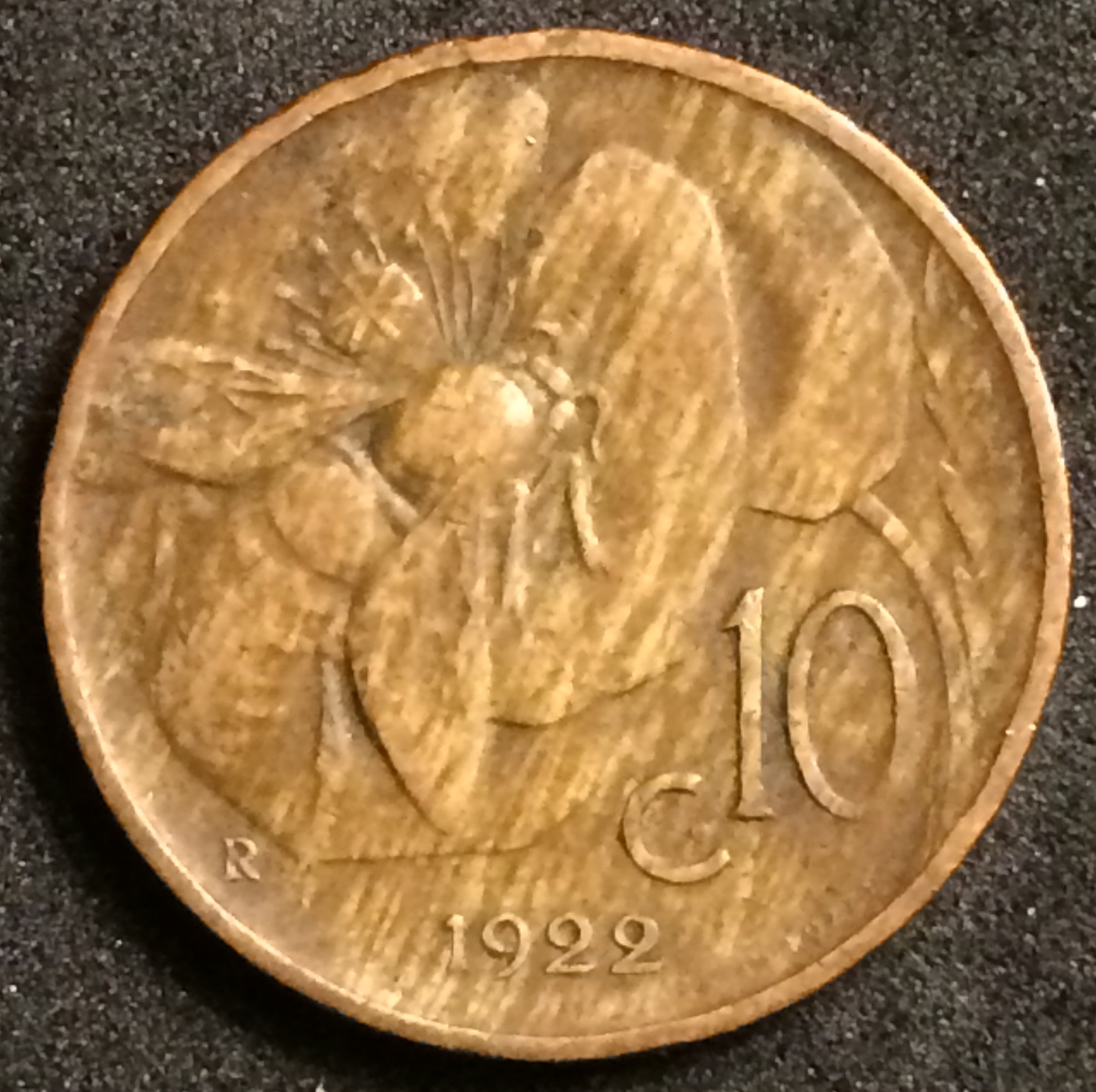sena coins