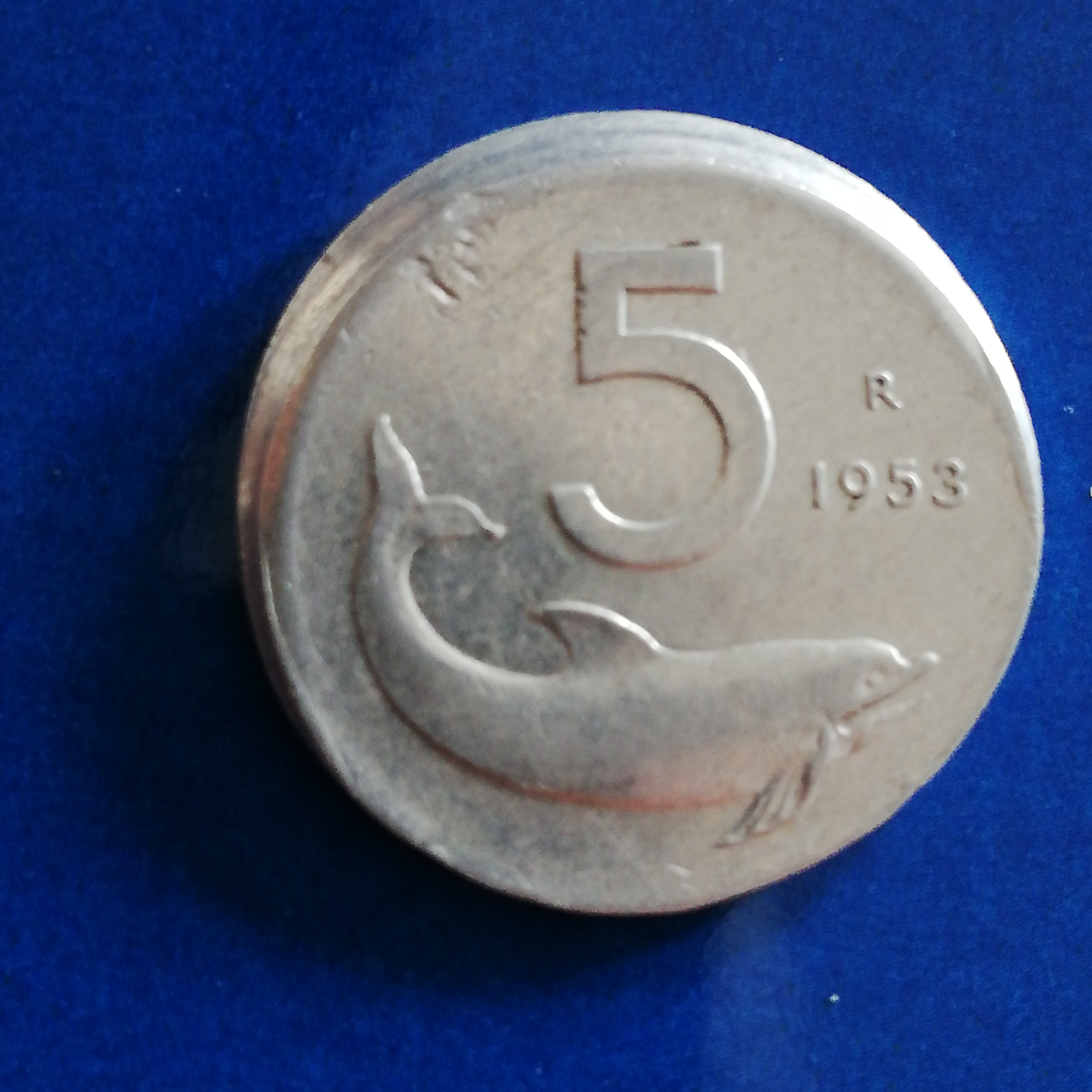 sena coins