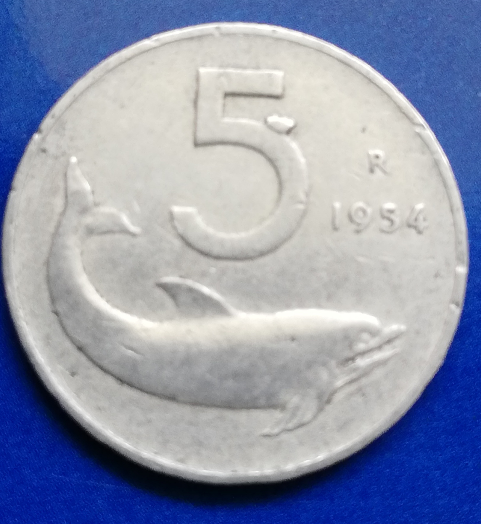 sena coins