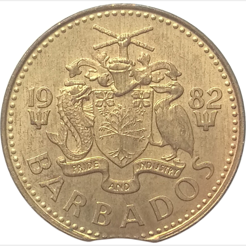sena coins