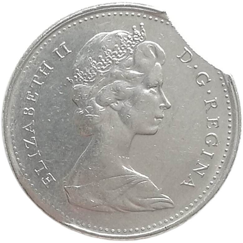 sena coins