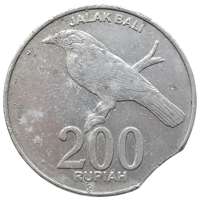 sena coins