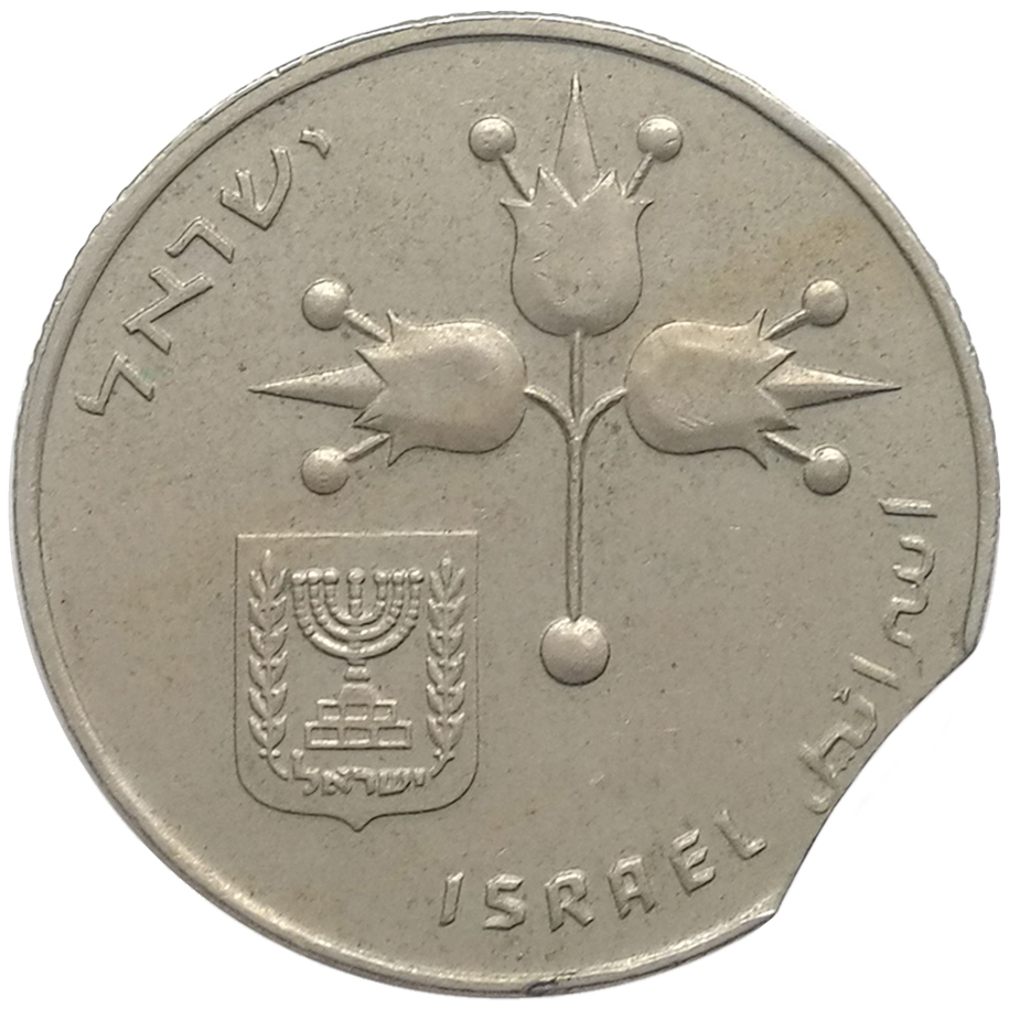 sena coins