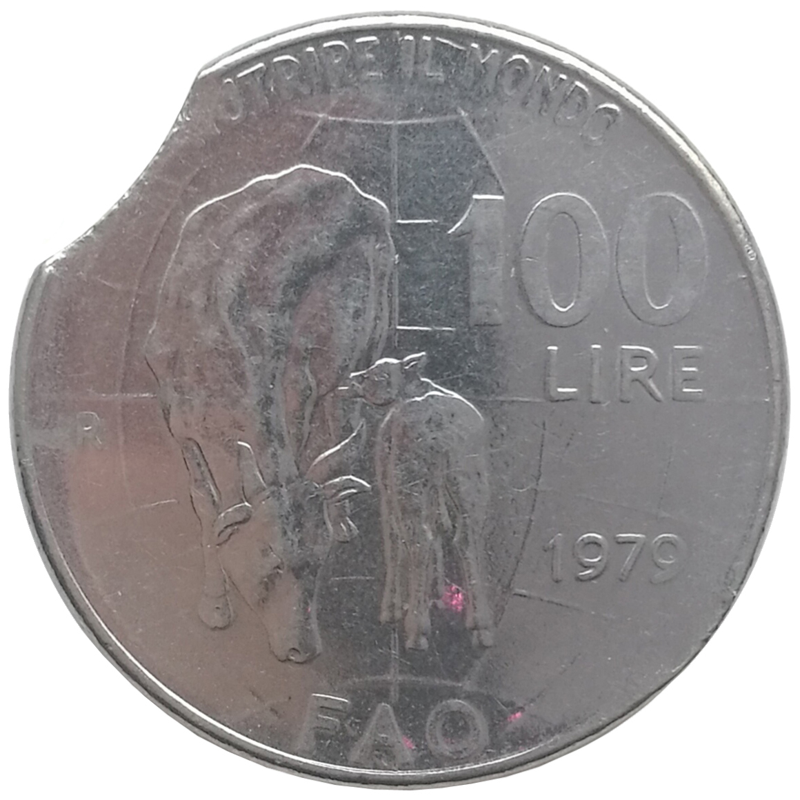 sena coins