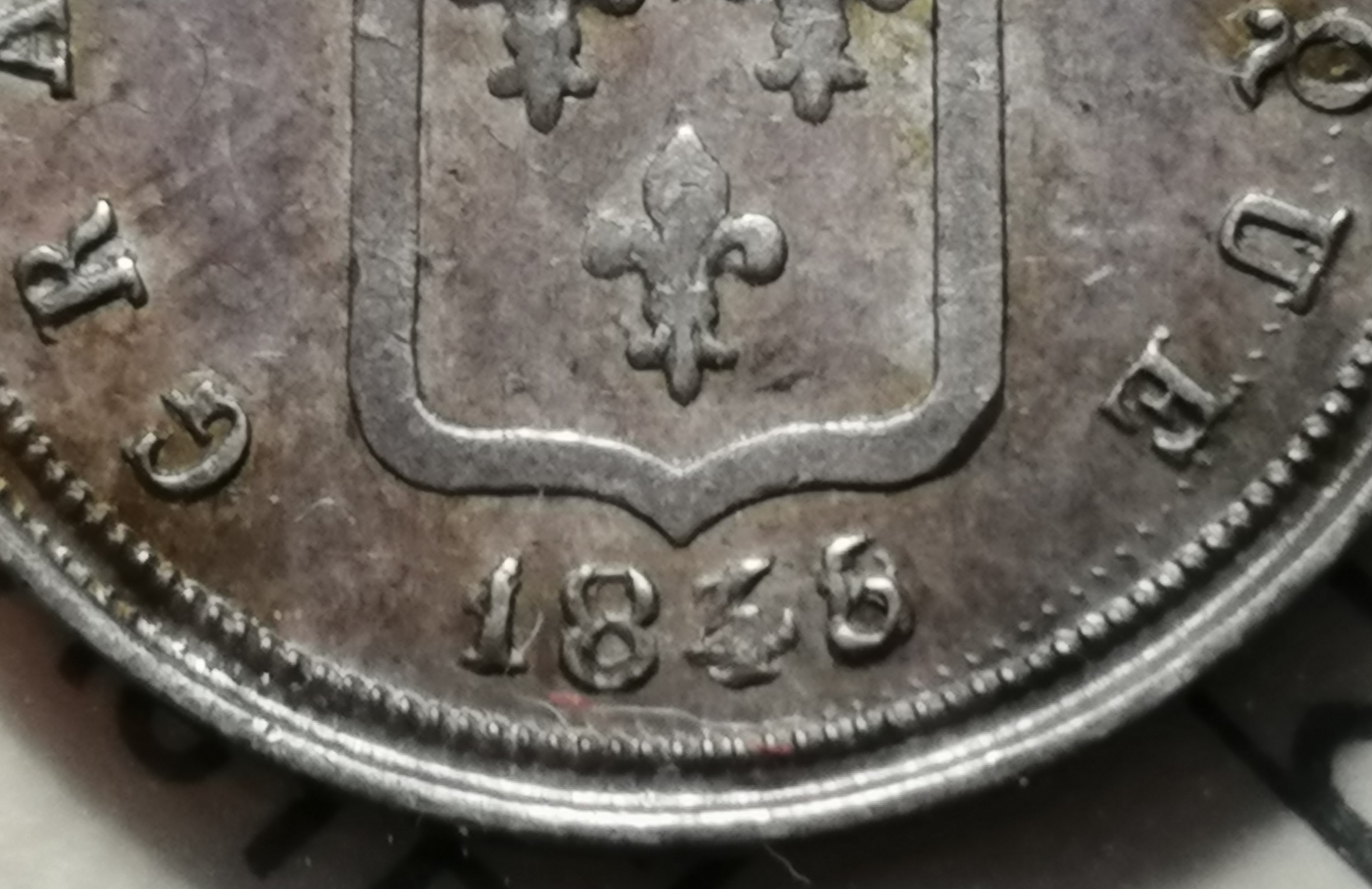 sena coins