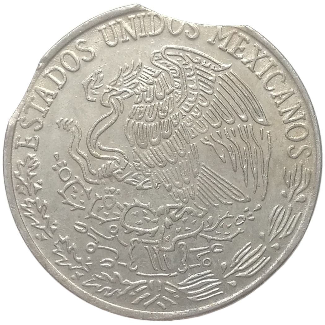 sena coins