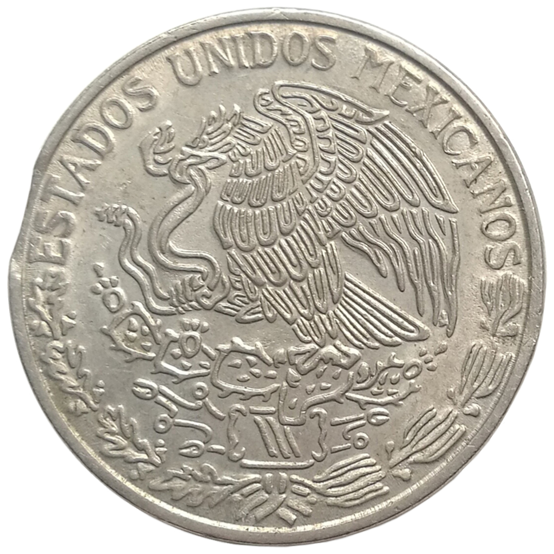 sena coins