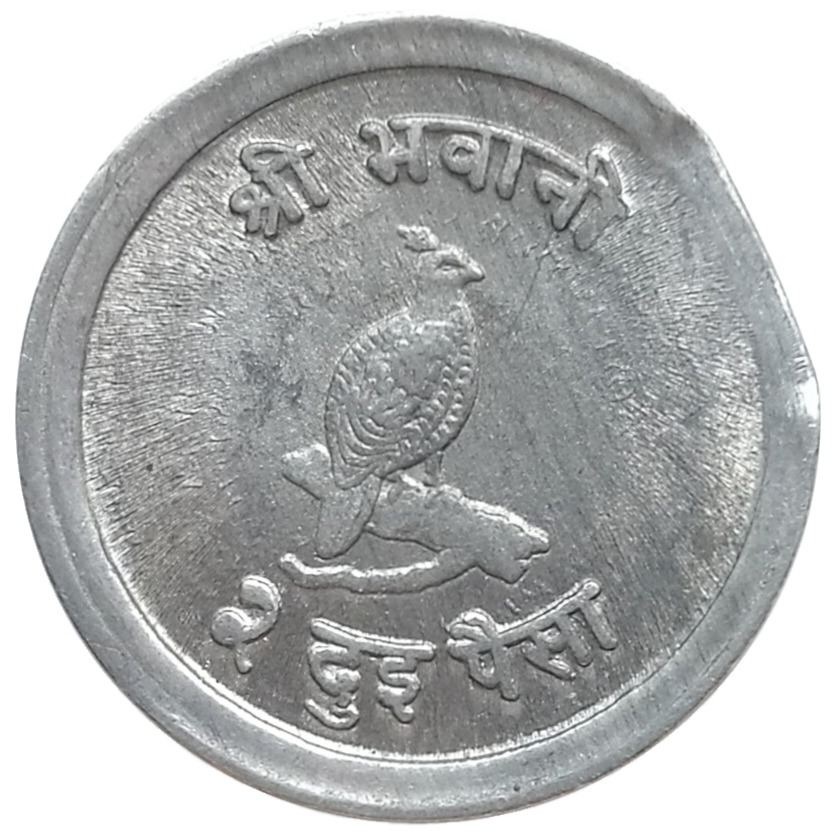 sena coins