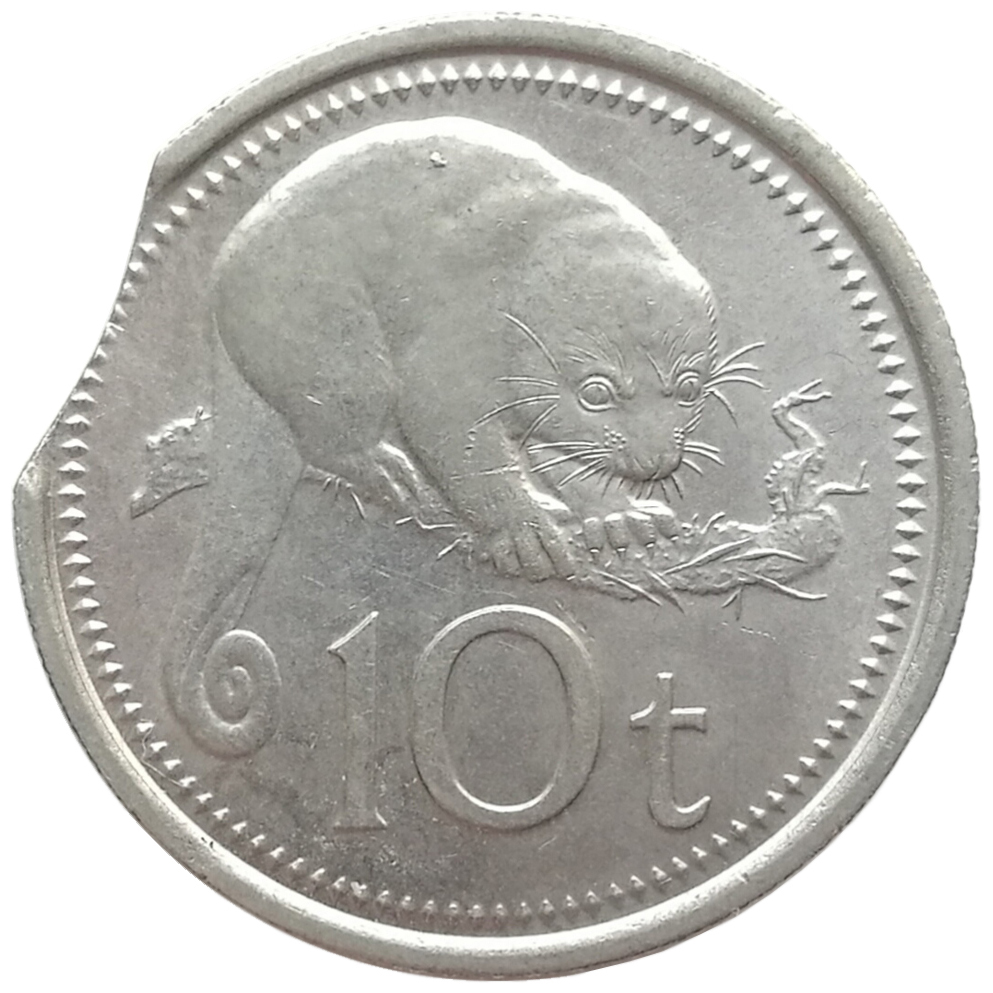 sena coins