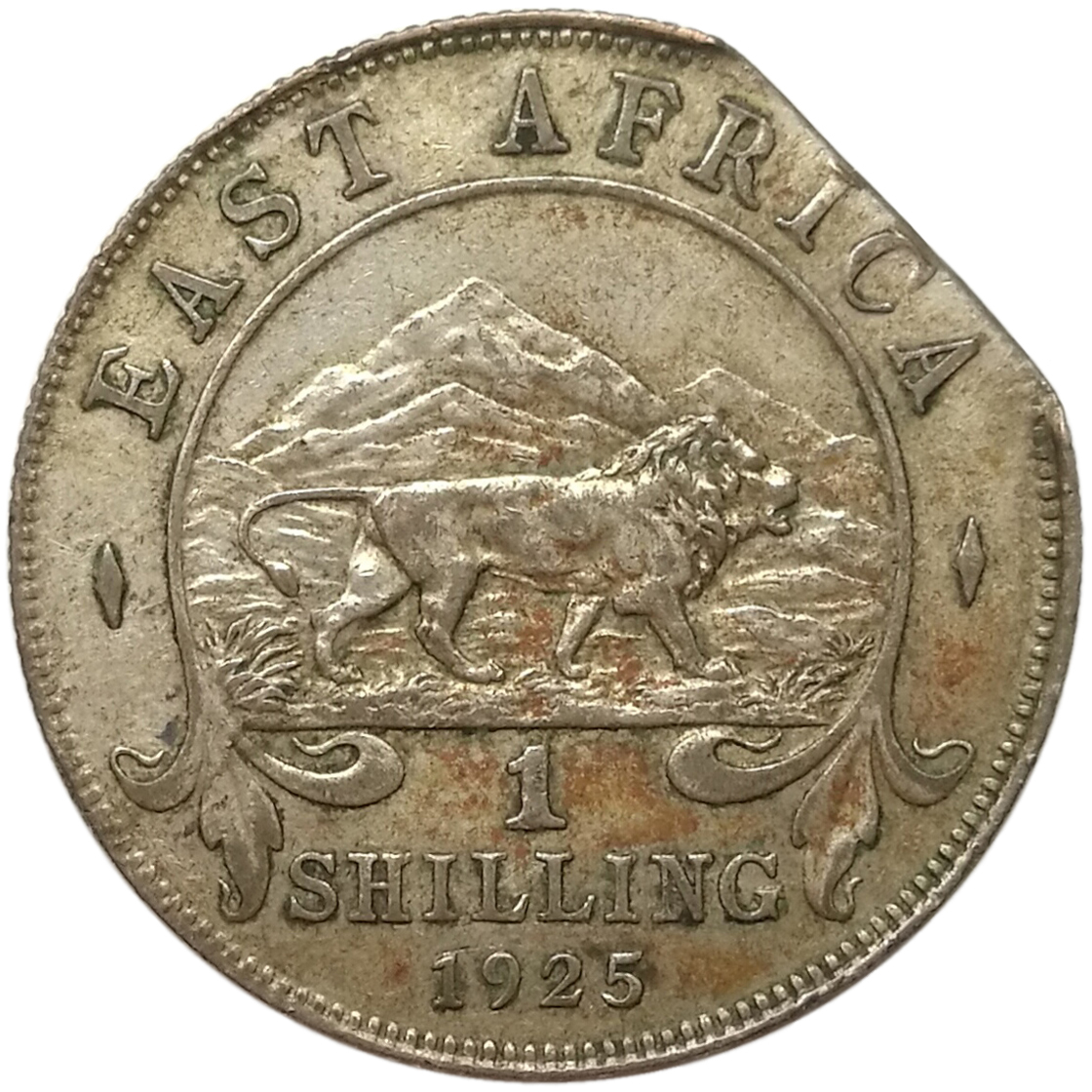 sena coins