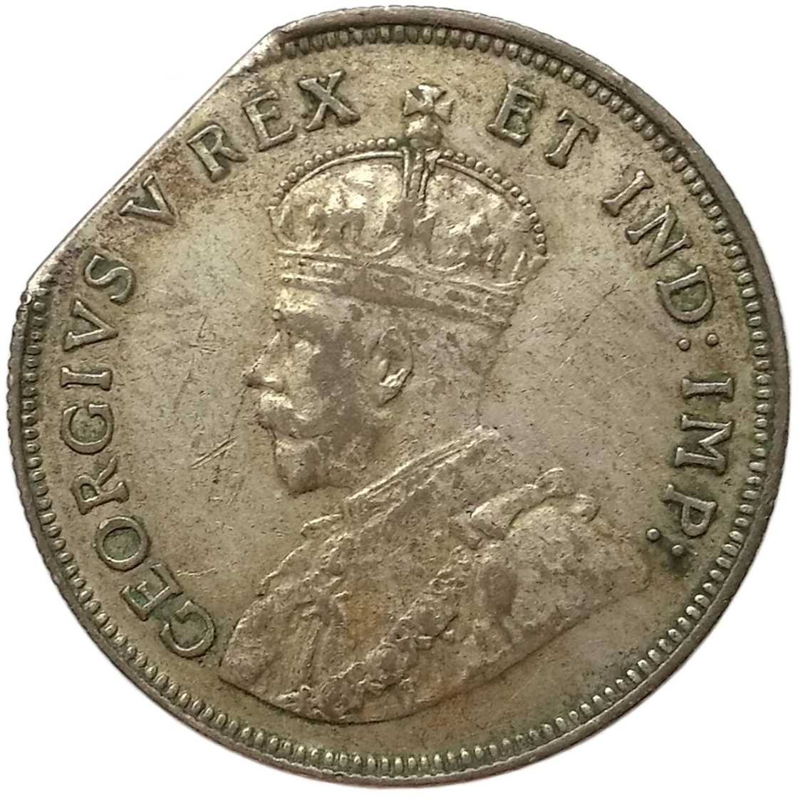sena coins