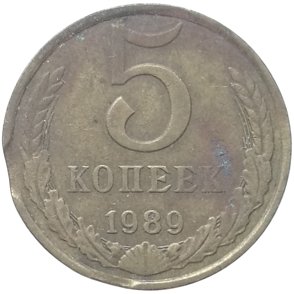 sena coins