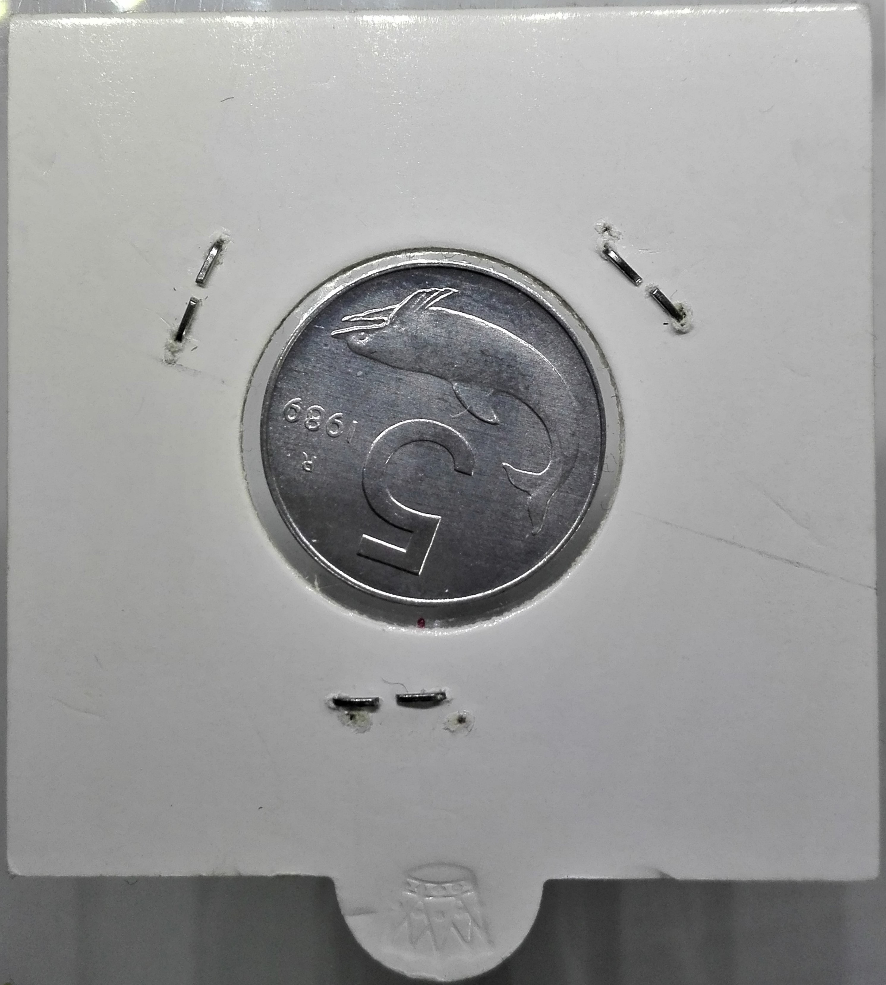 sena coins