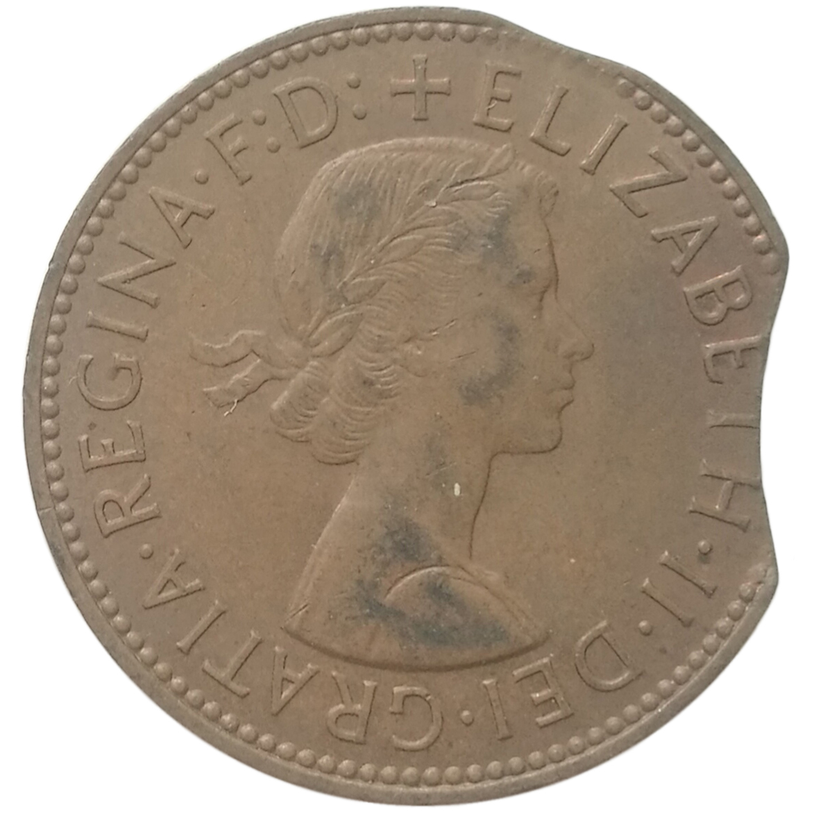 sena coins