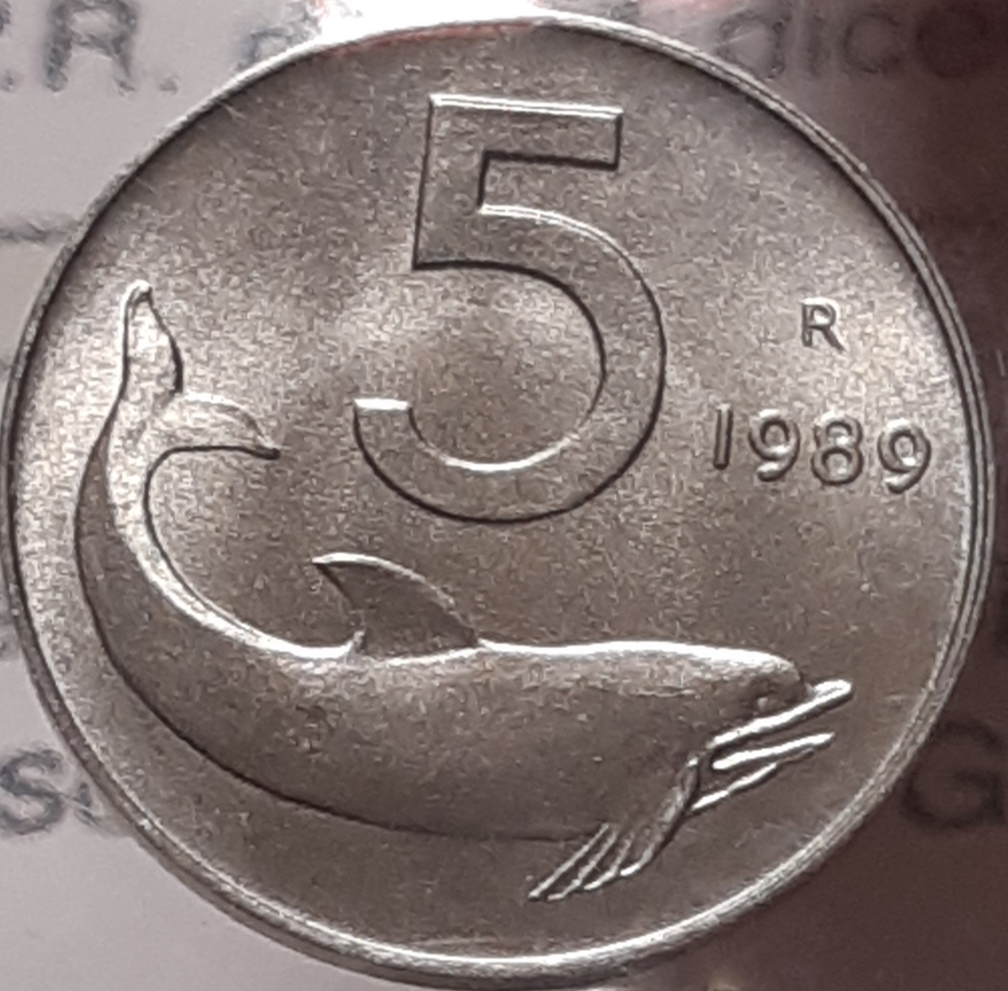 sena coins