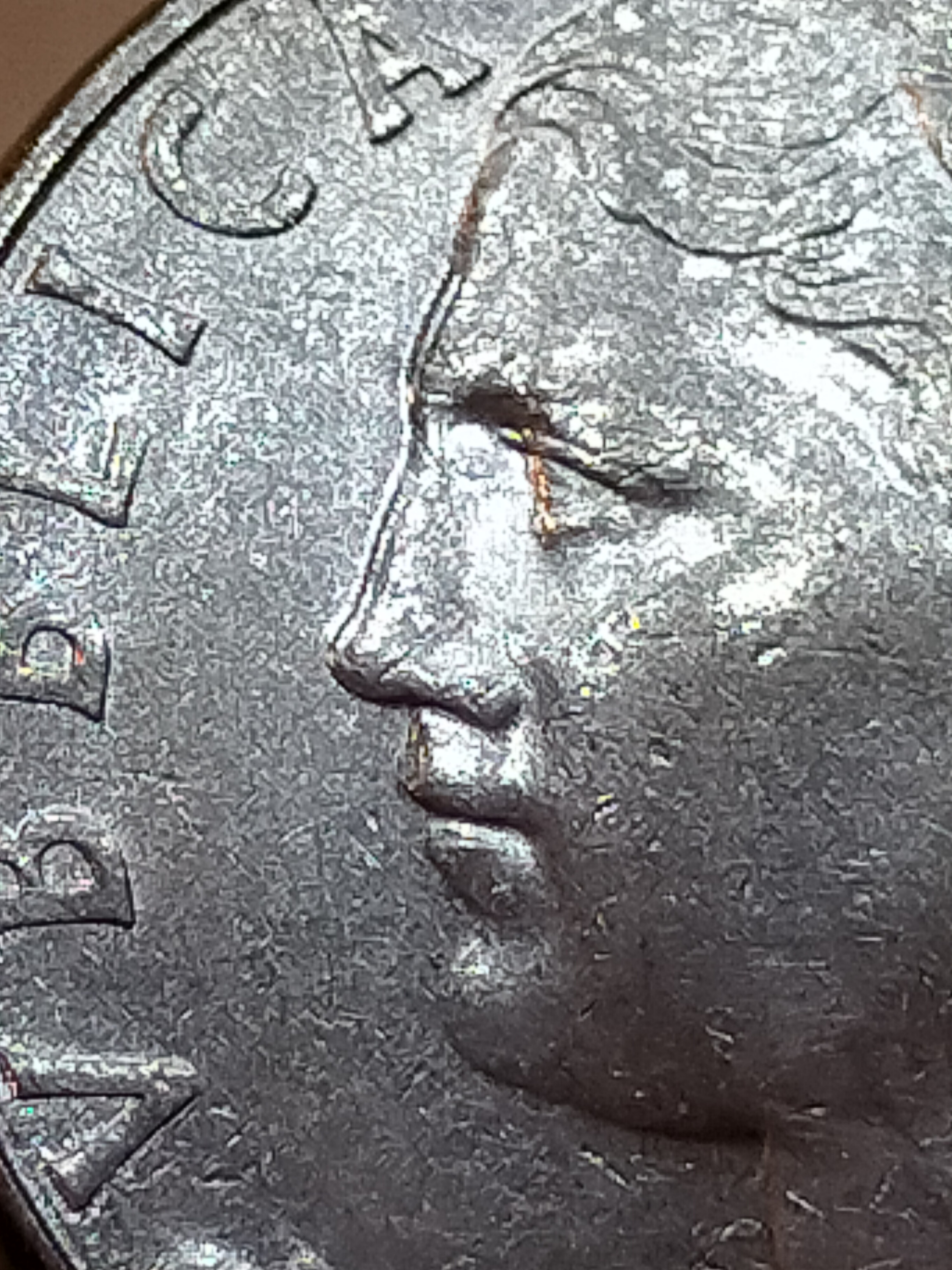 sena coins