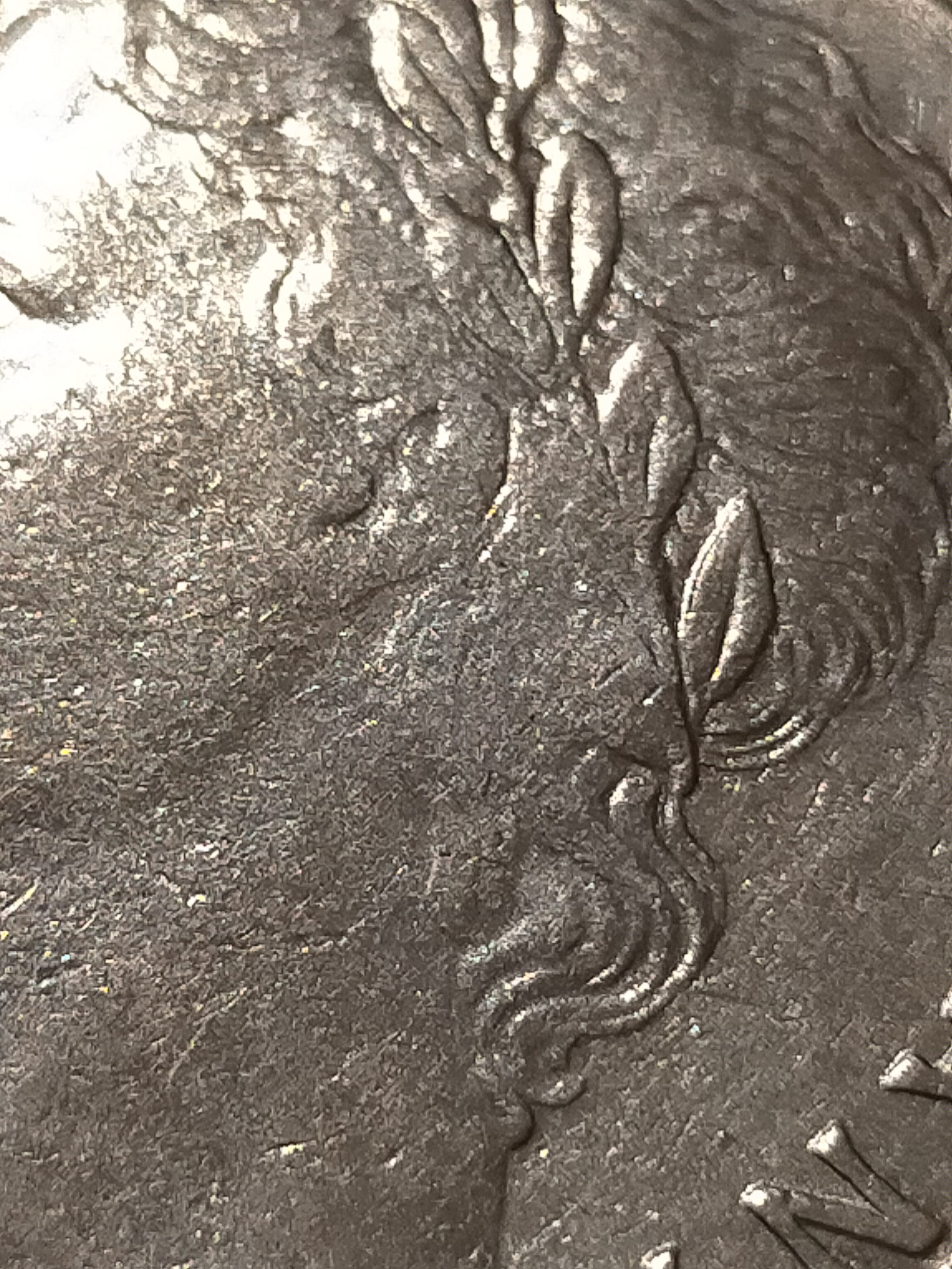 sena coins