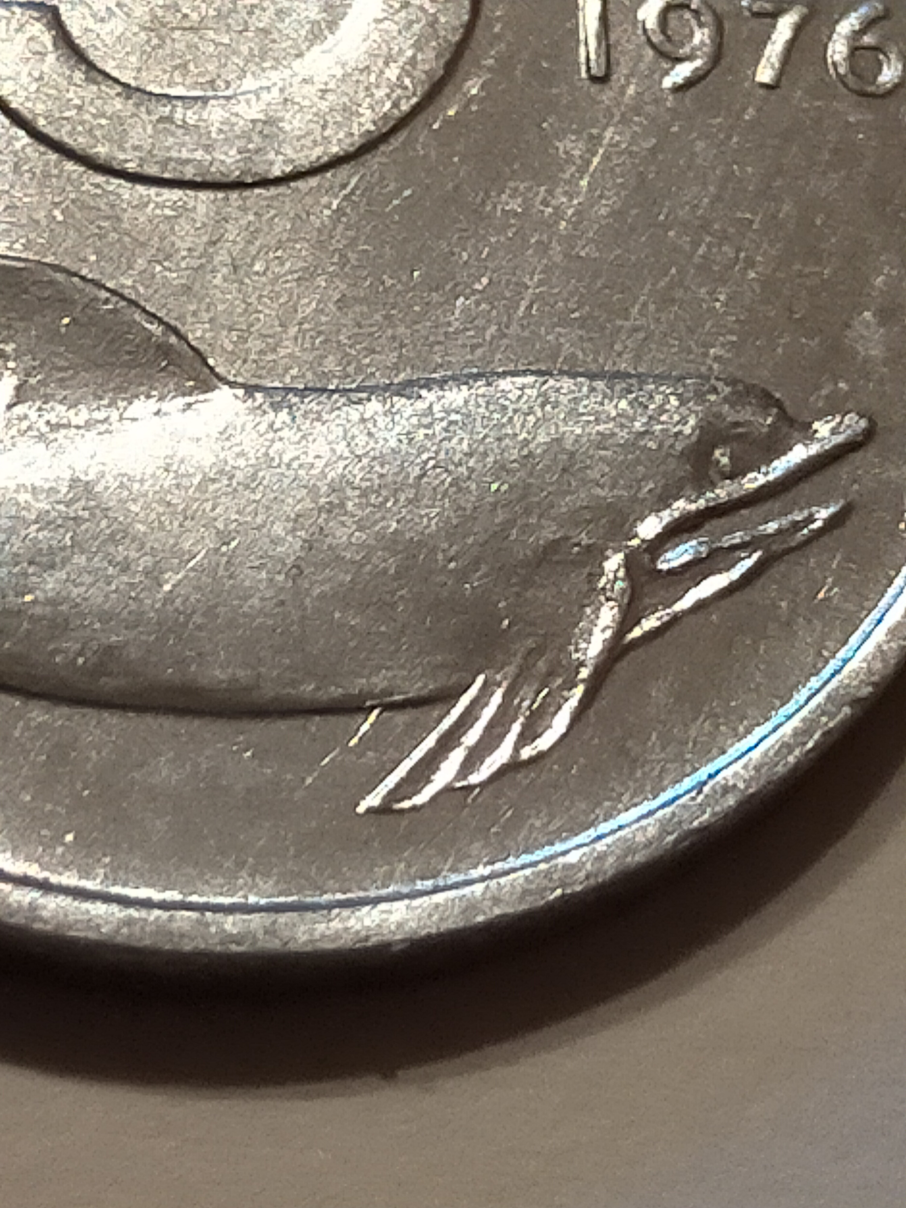sena coins