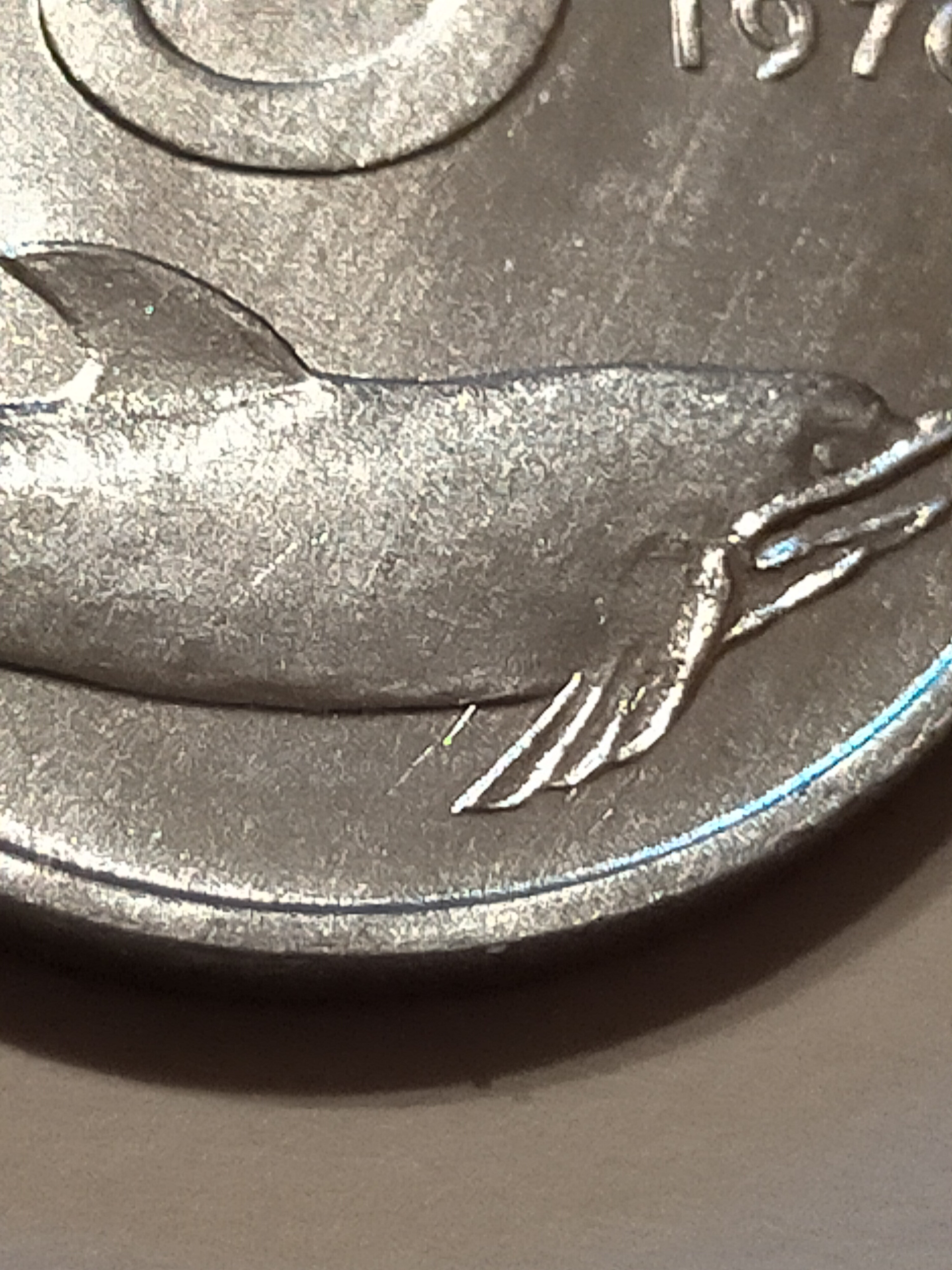 sena coins