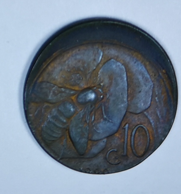sena coins