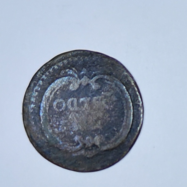 sena coins
