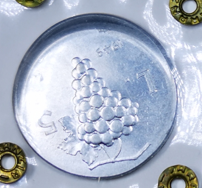 sena coins