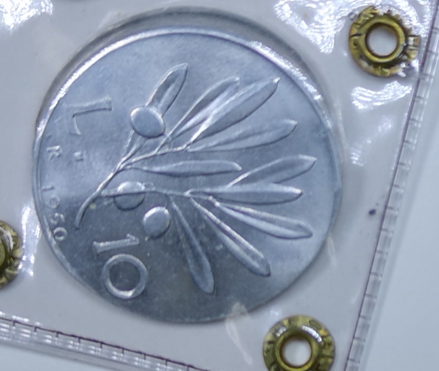 sena coins