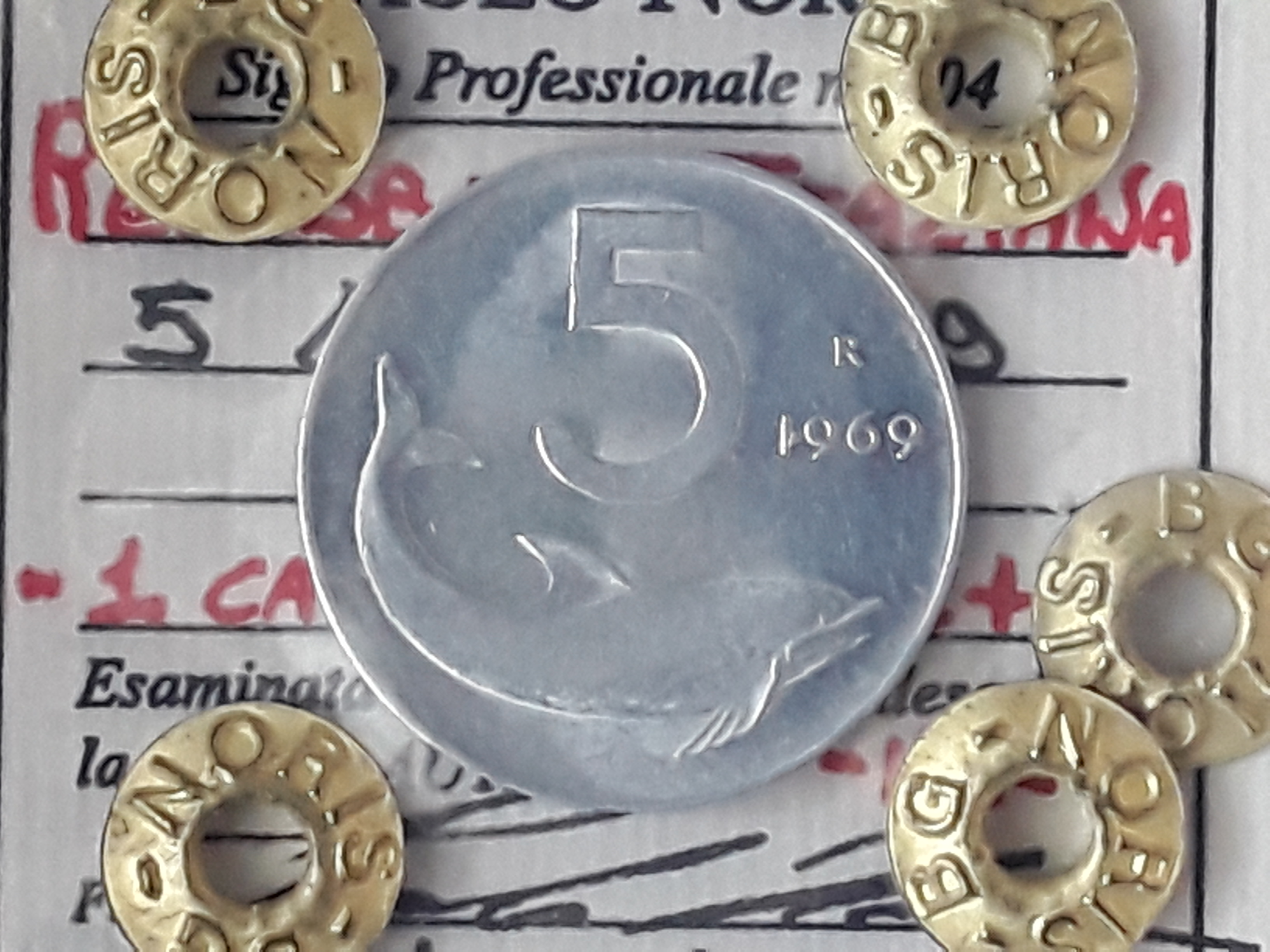 sena coins