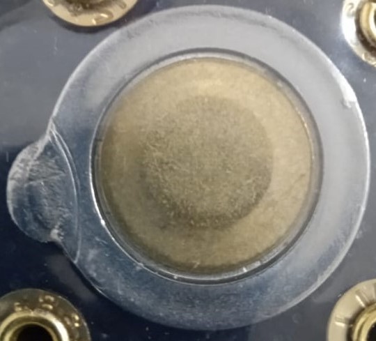 sena coins