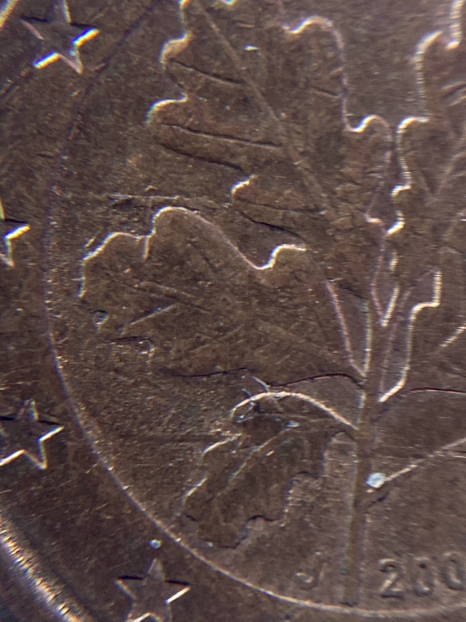 sena coins