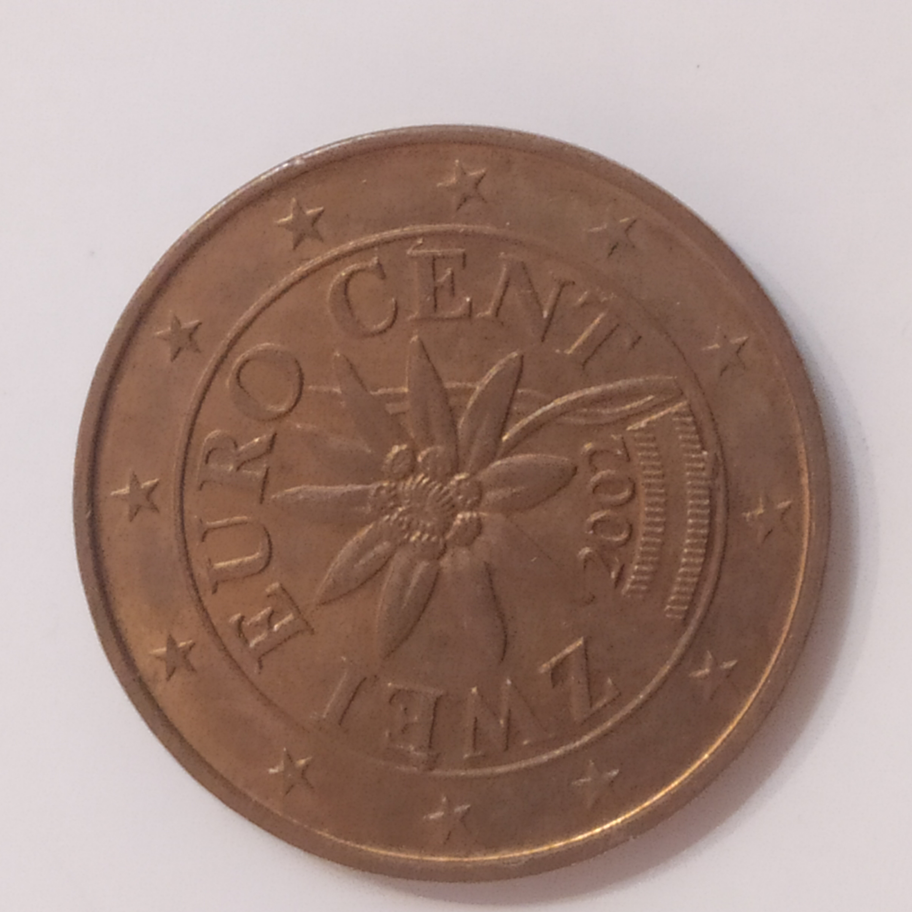 sena coins