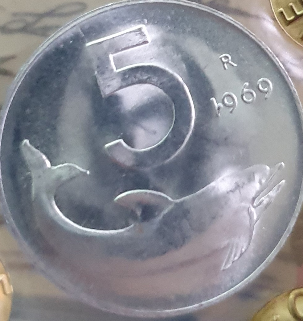 sena coins