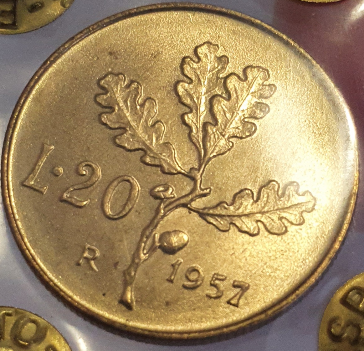 sena coins