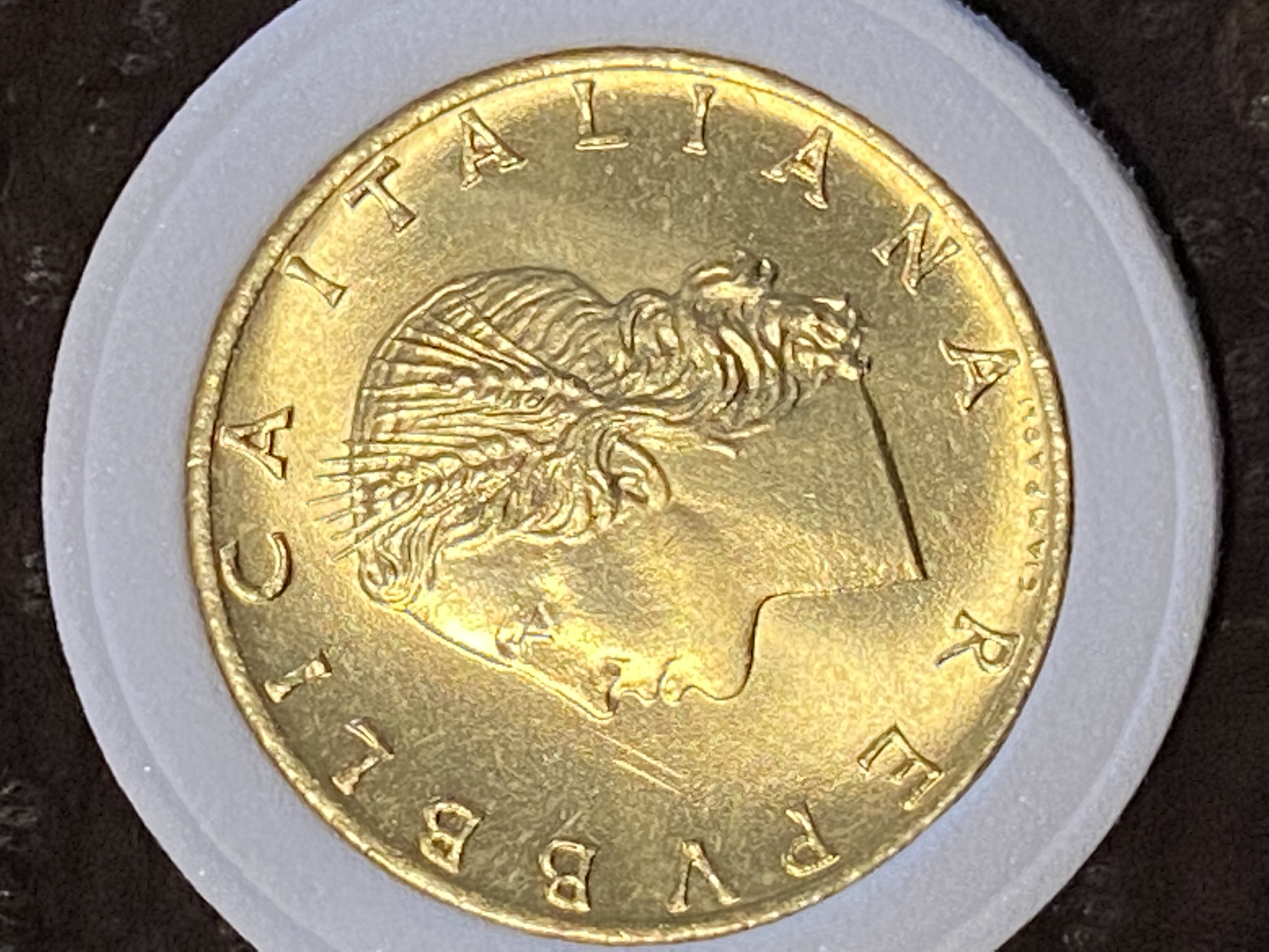 sena coins