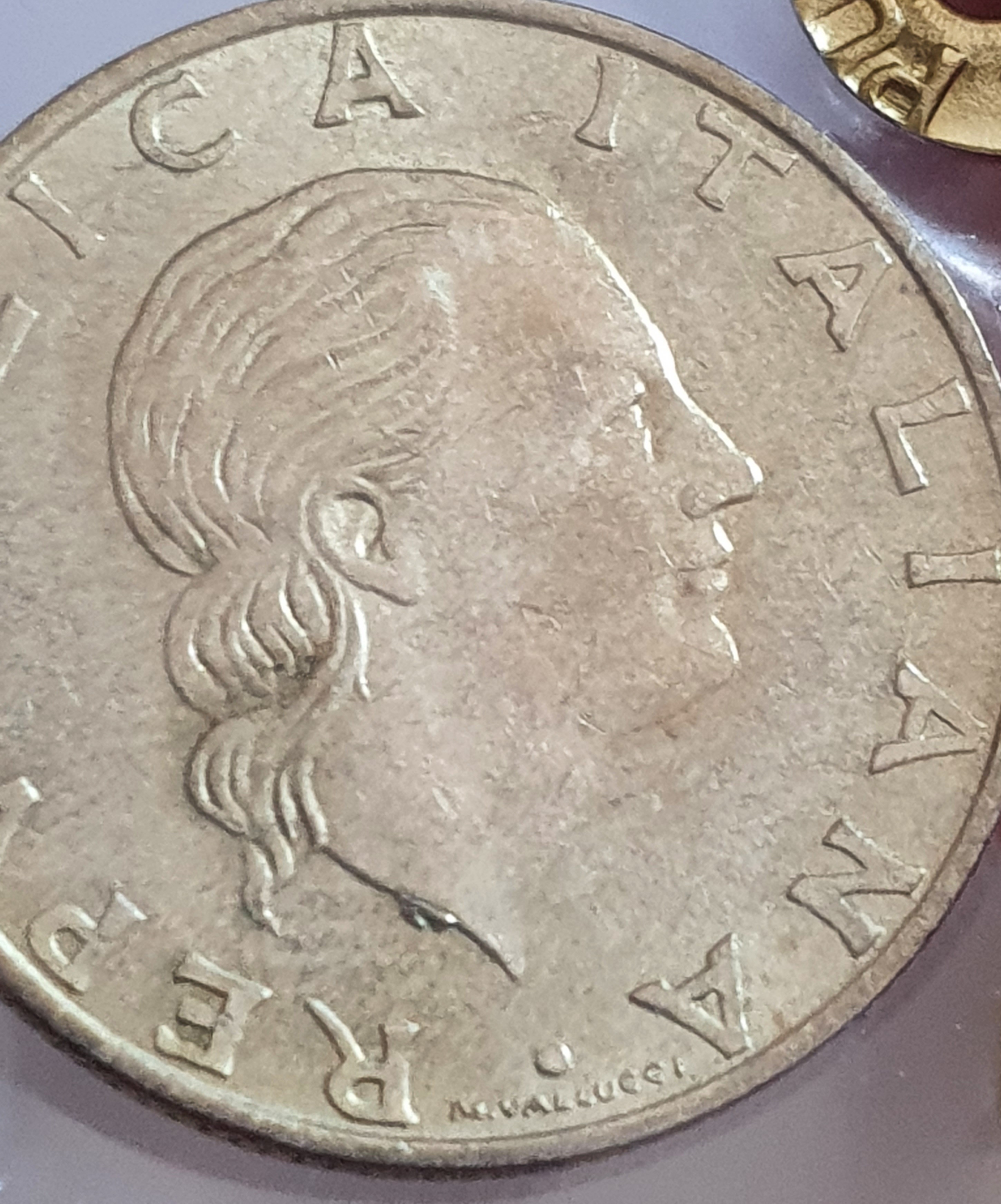 sena coins