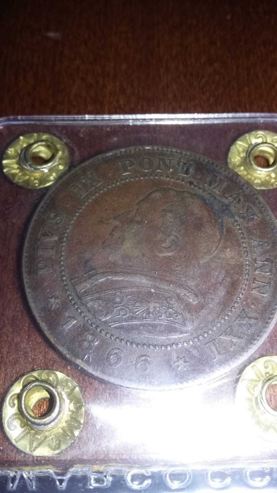 sena coins