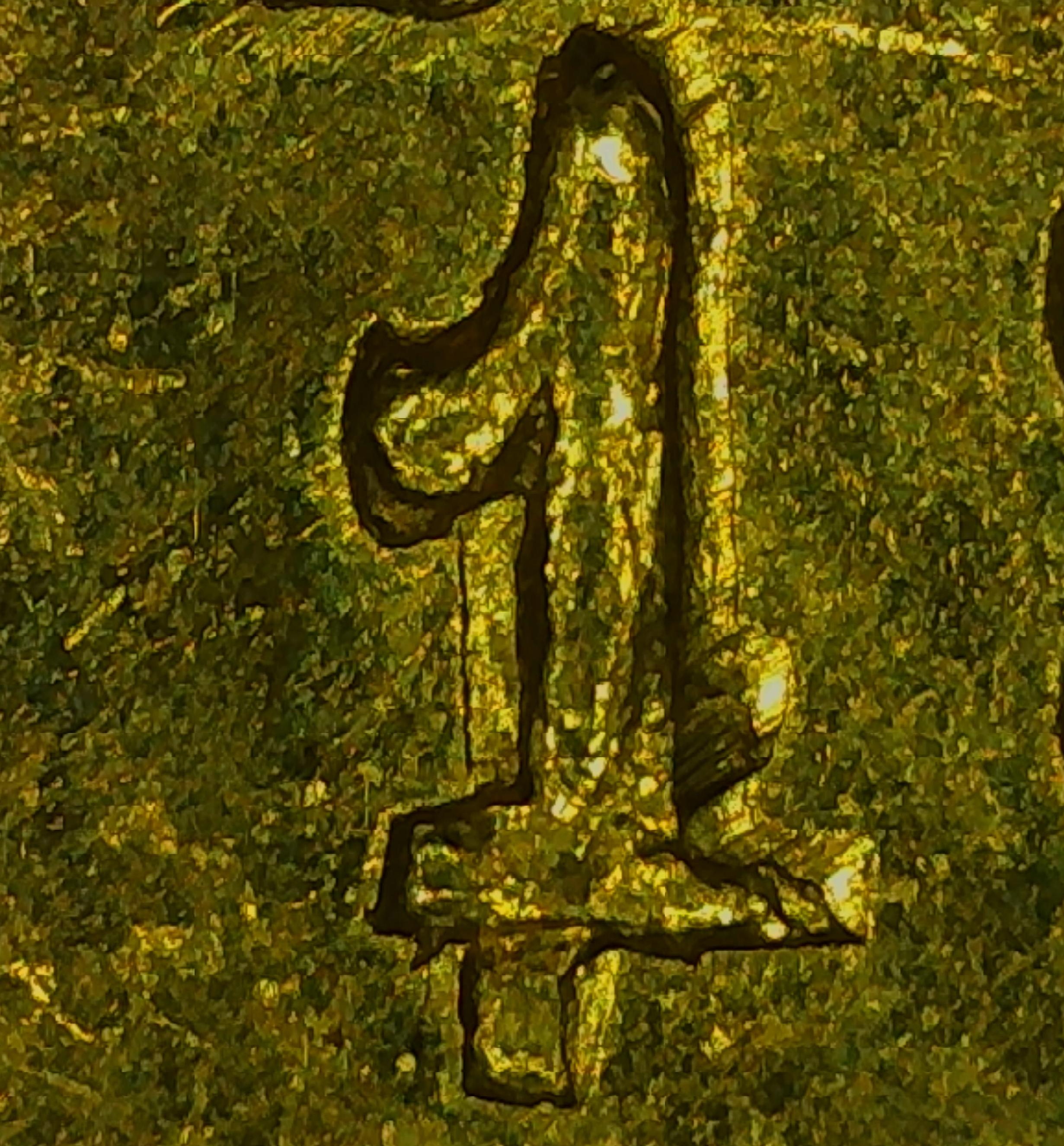 sena coins