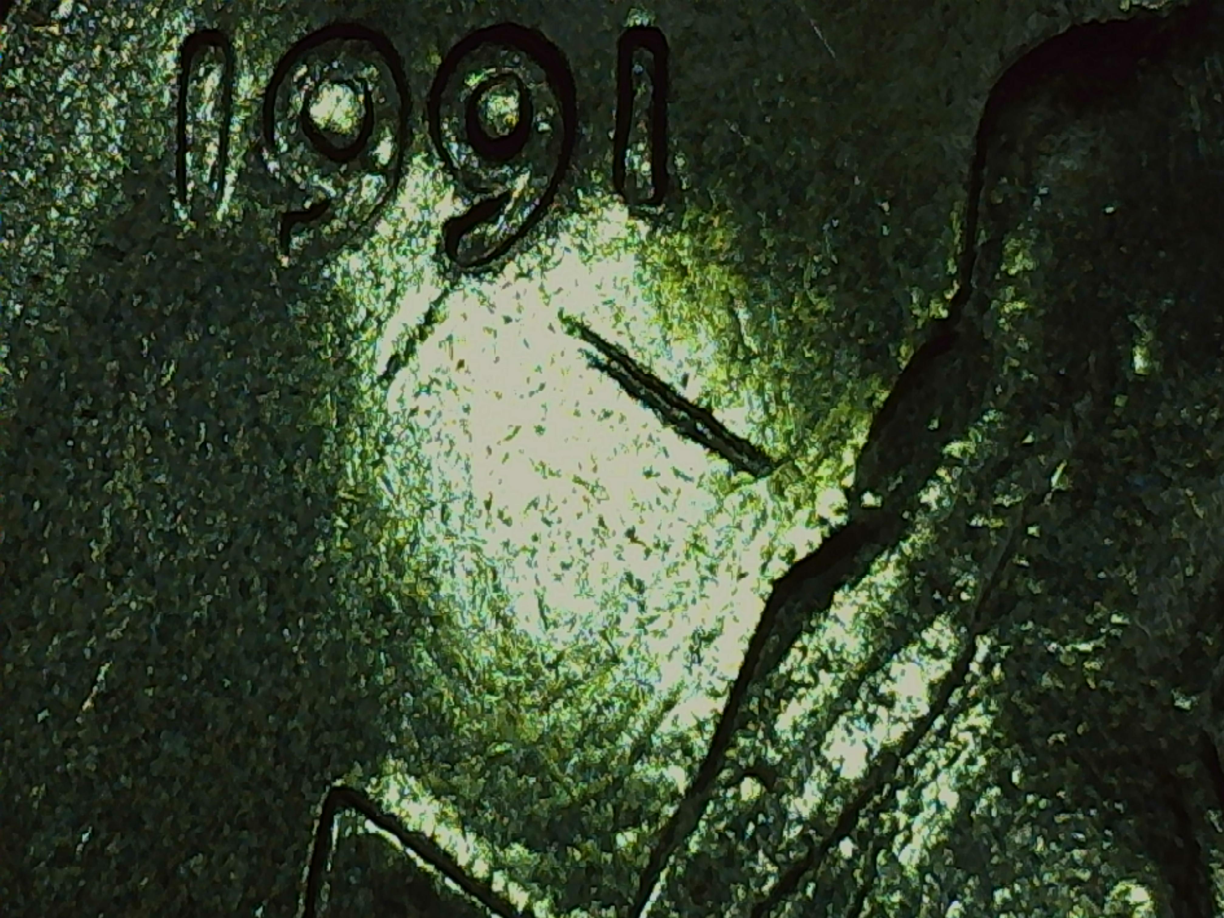 sena coins