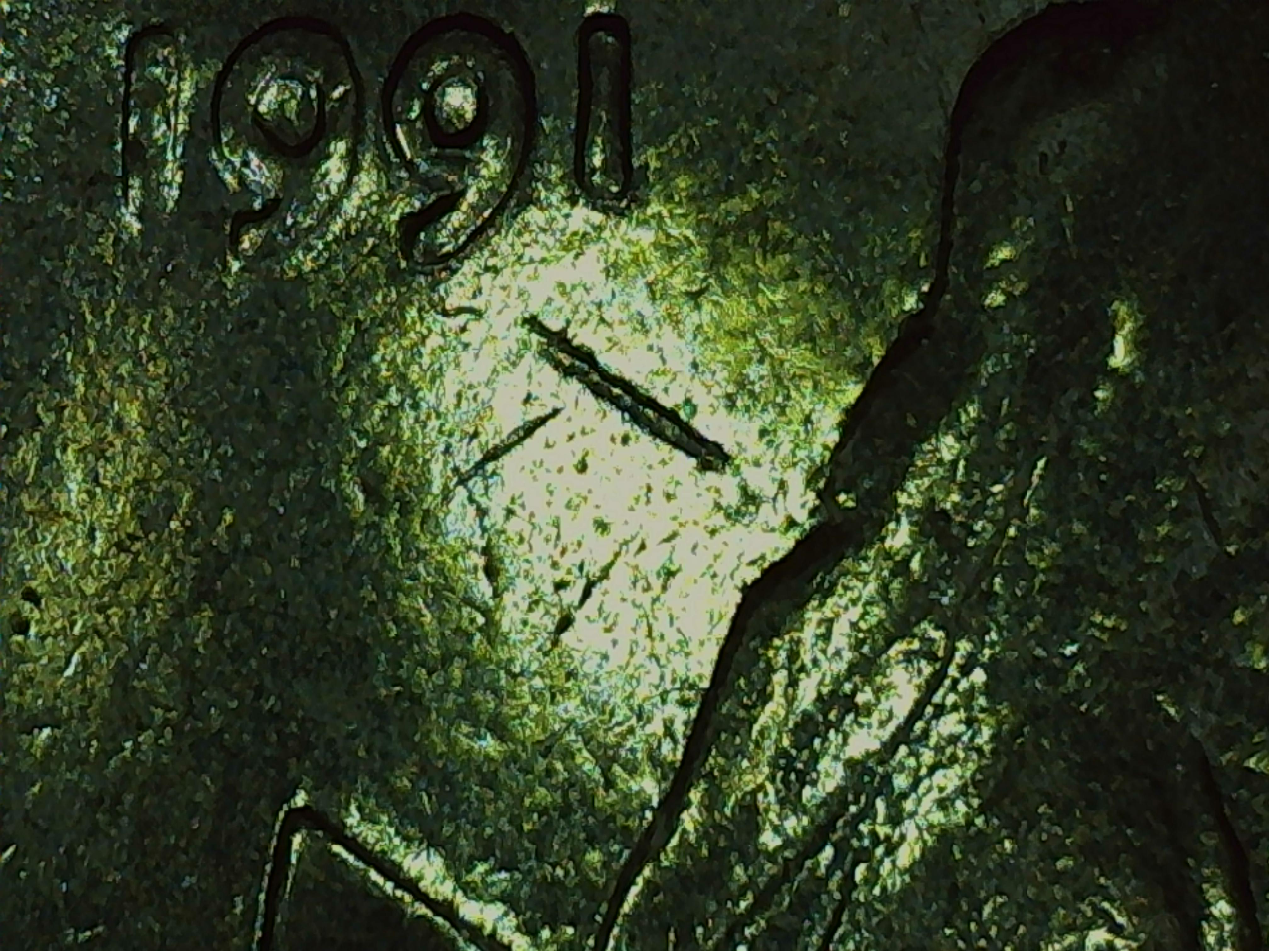 sena coins