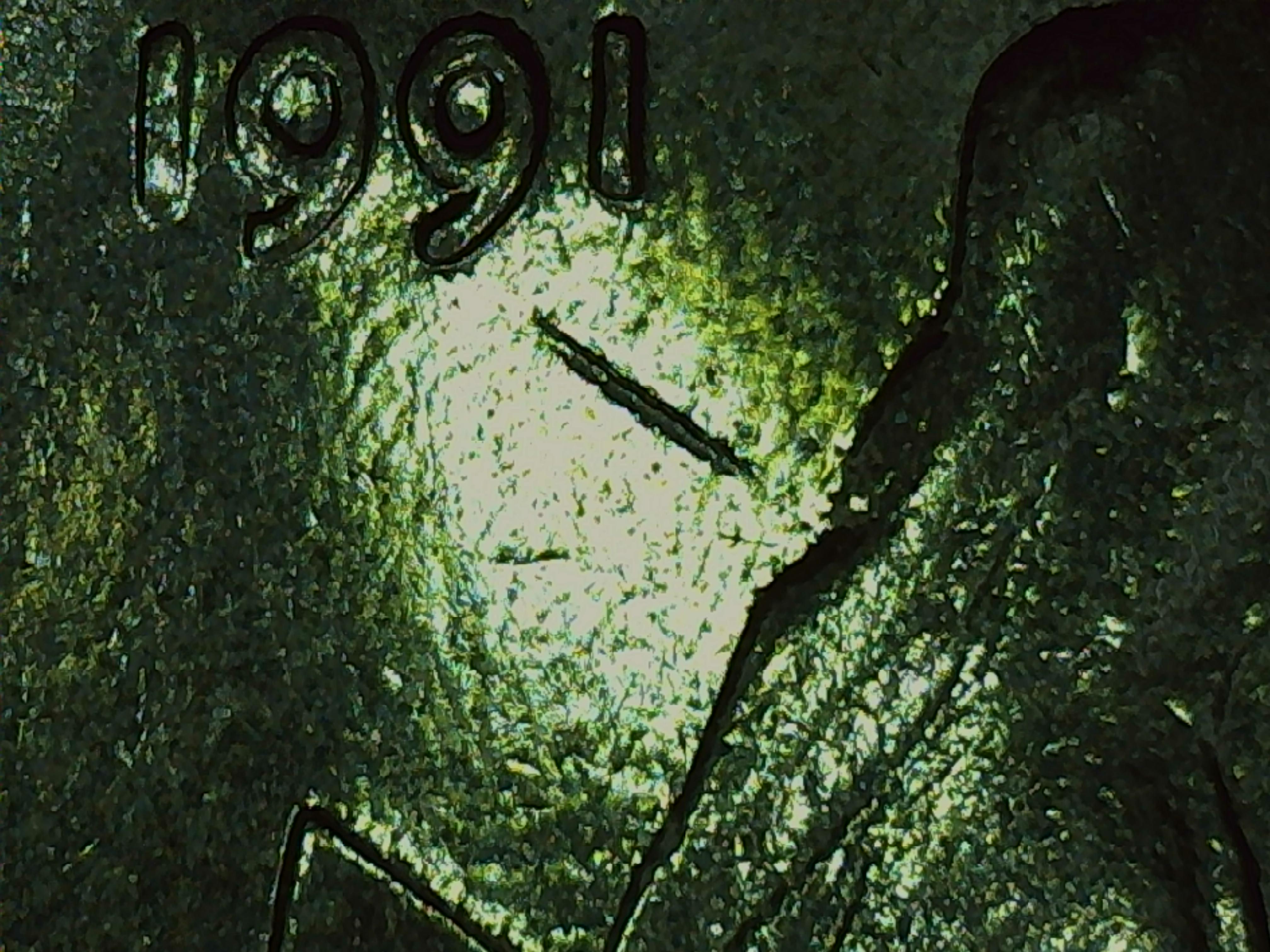 sena coins