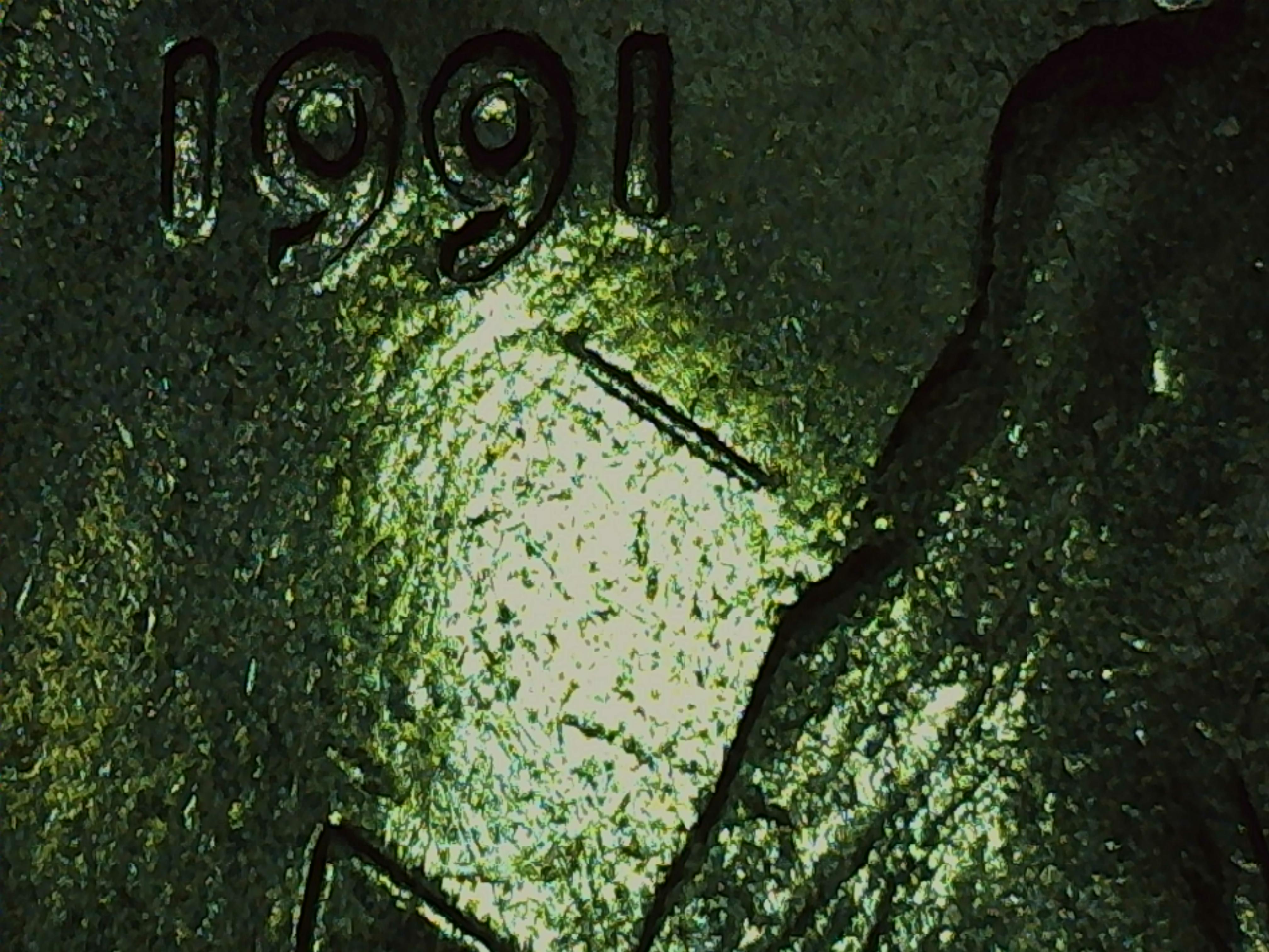 sena coins
