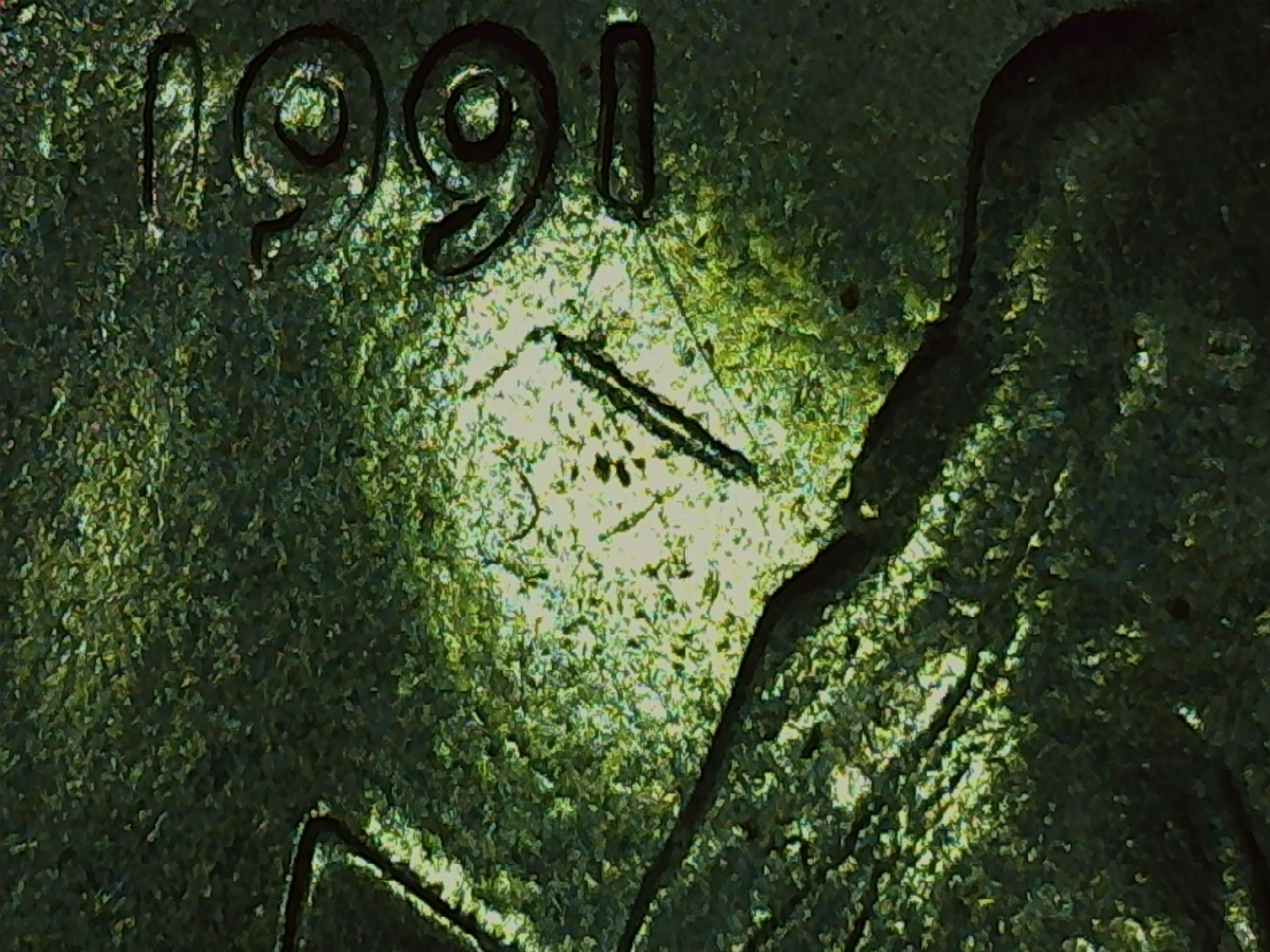 sena coins