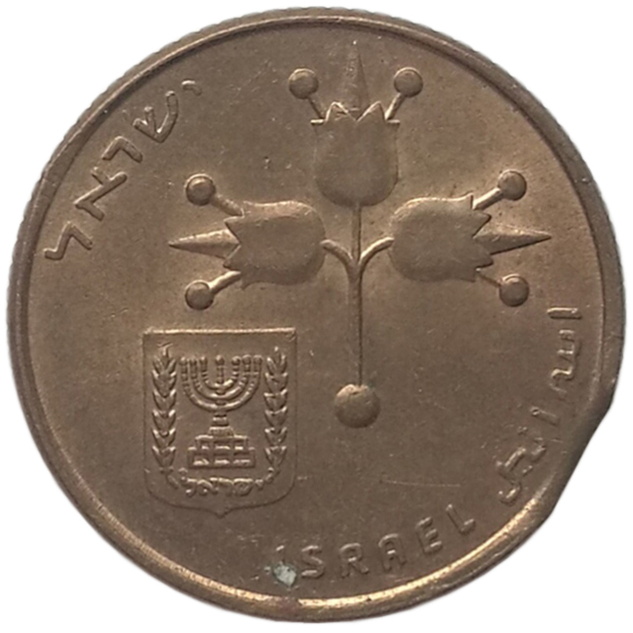 sena coins