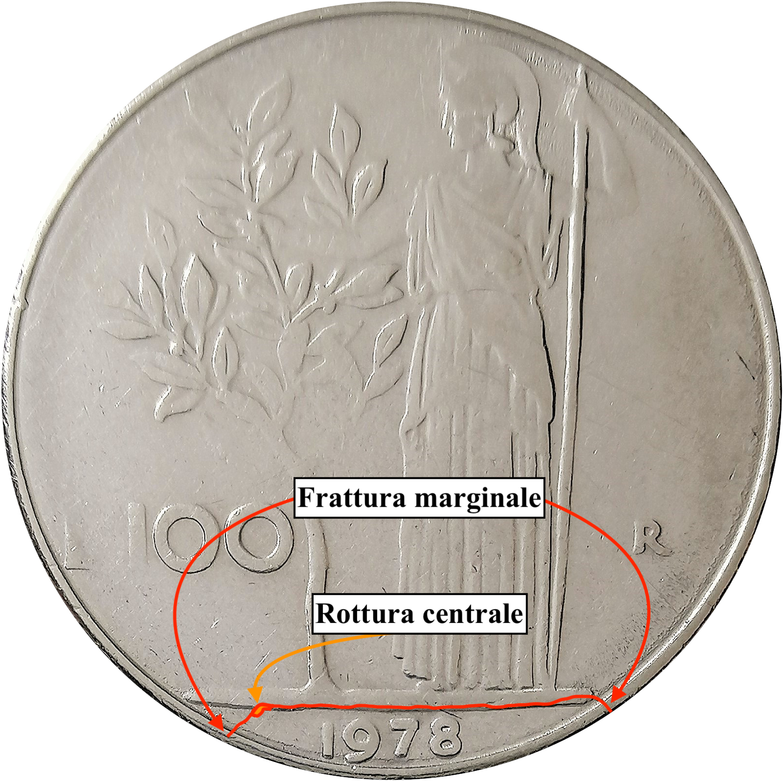 sena coins