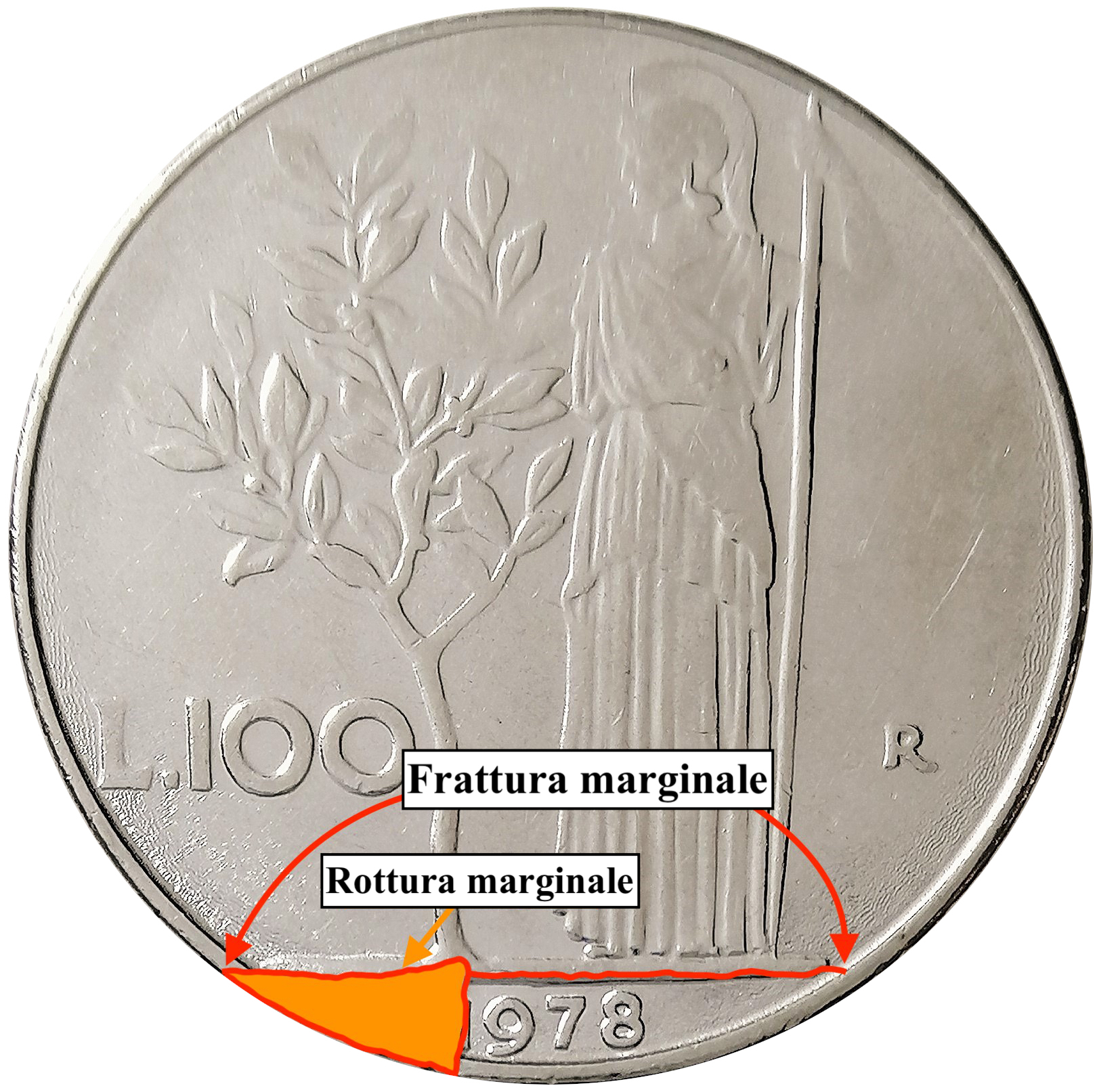 sena coins