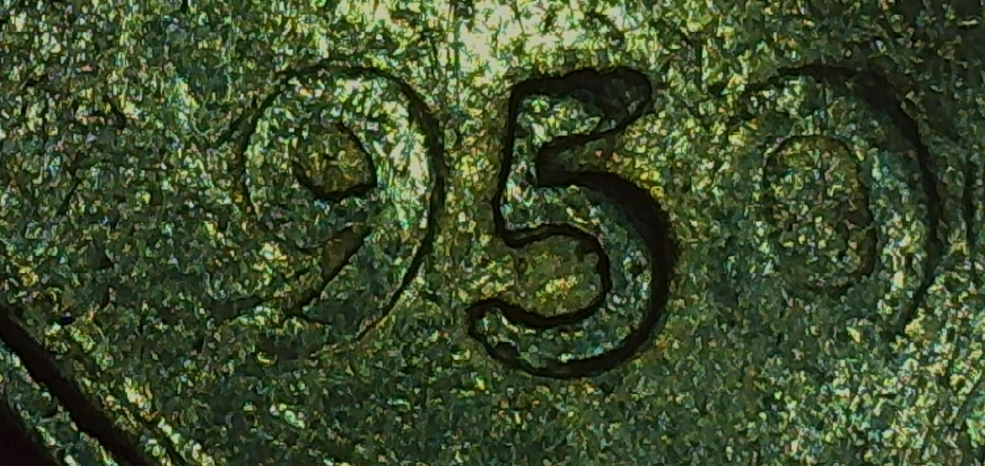 sena coins