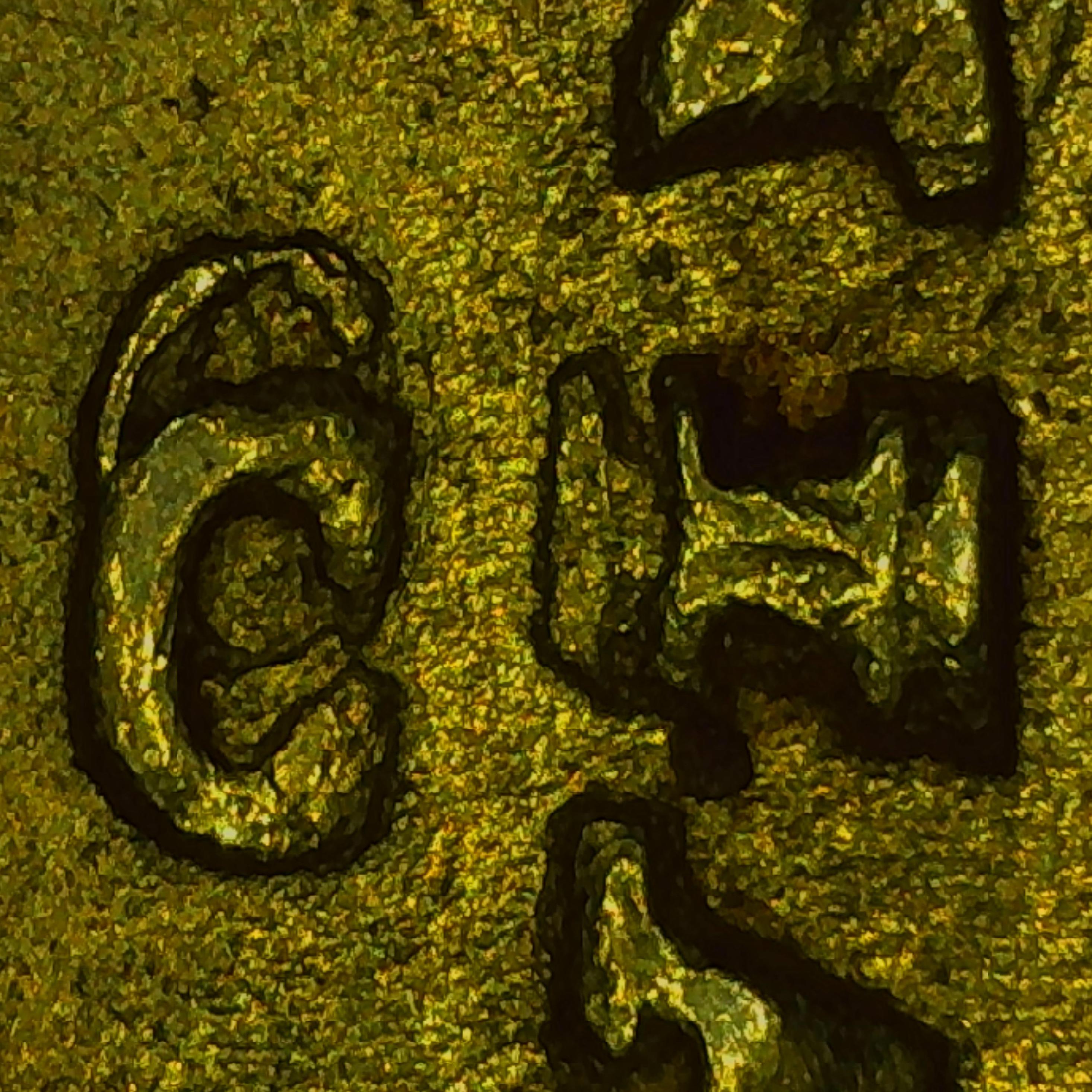 sena coins