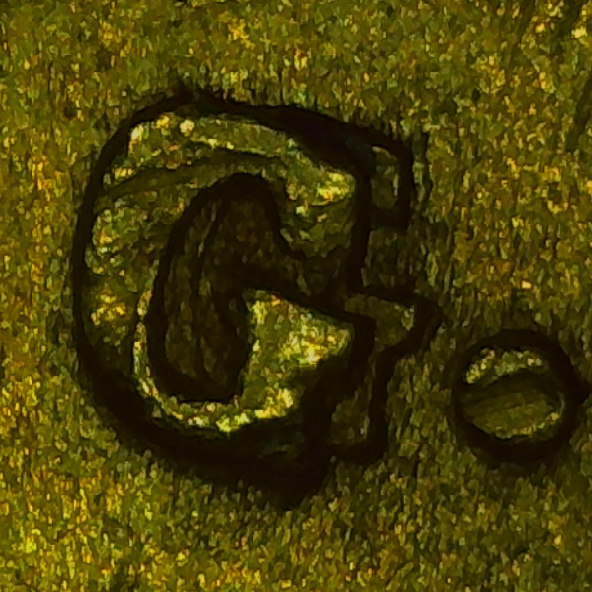 sena coins