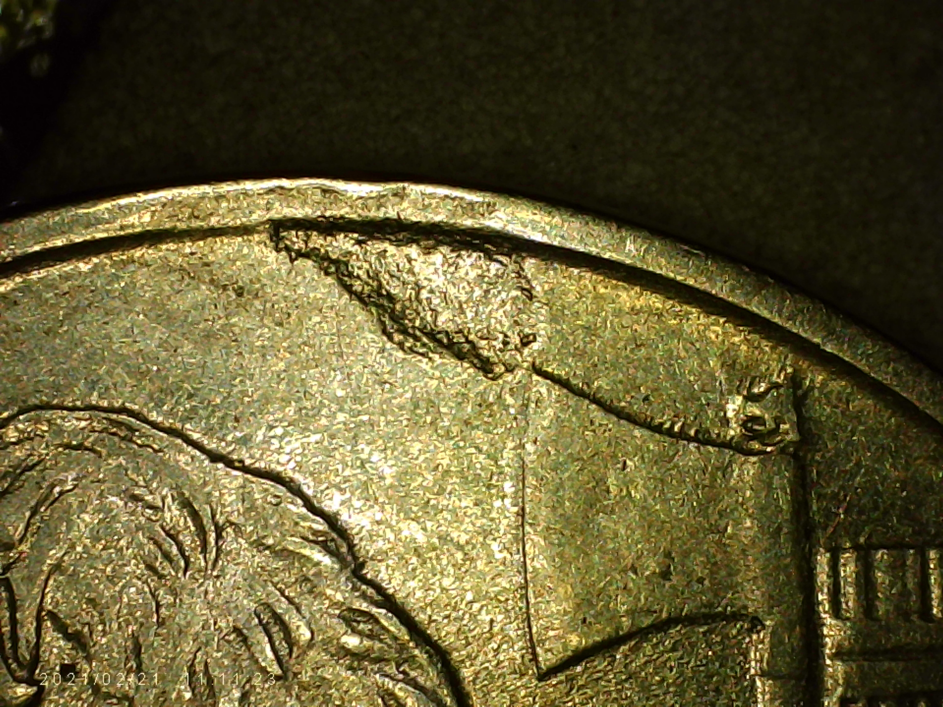 sena coins