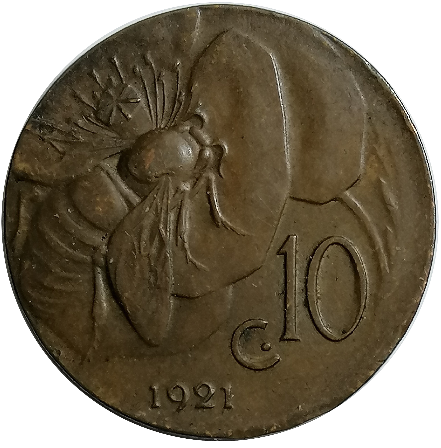 sena coins